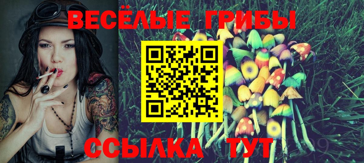 Галлюциногенные грибы Cubensis  Галлюциногенные грибы ЛСД  Вход с VPN  Ленинск-Кузнецкий 